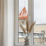 Old Town Design - 3 Min To Christmas Market Lejlighed *